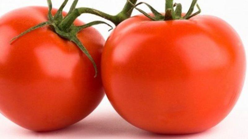 Pros and cons of the hybrid tomato Snowman F1