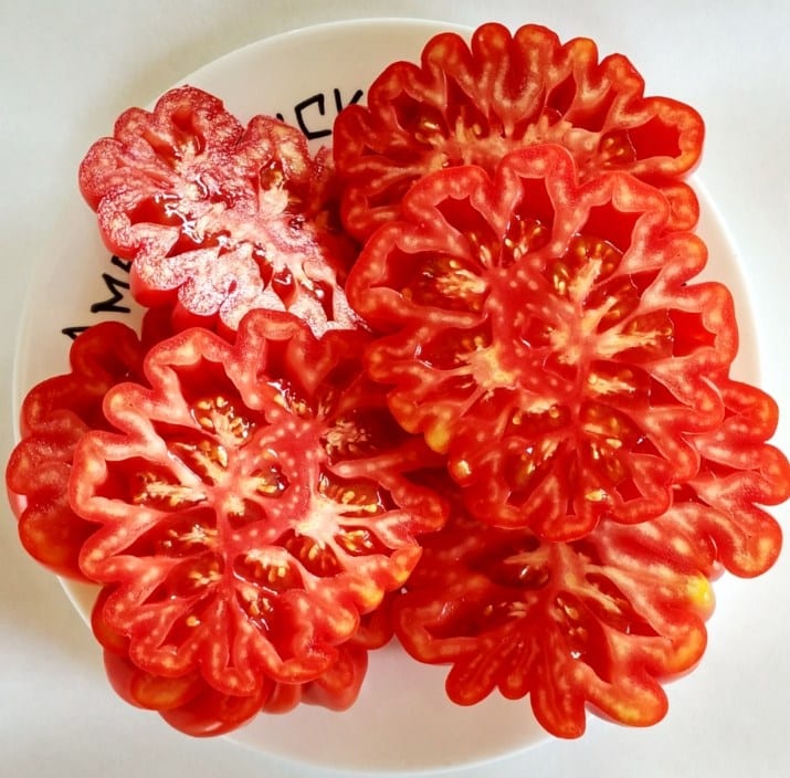 Top 25 sweetest varieties of tomatoes and tips on choosing them for every gardener