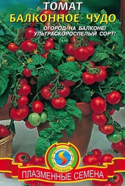 Top 25 sweetest varieties of tomatoes and tips on choosing them for every gardener