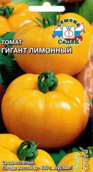Top 25 sweetest varieties of tomatoes and tips on choosing them for every gardener