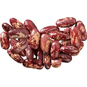 How beans affect the body: benefits and harms, secrets of preserving vitamins and rules of consumption