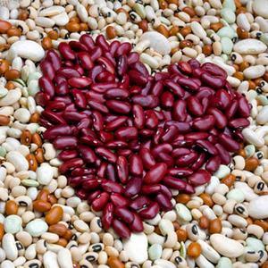 How beans affect the body: benefits and harms, secrets of preserving vitamins and rules of consumption