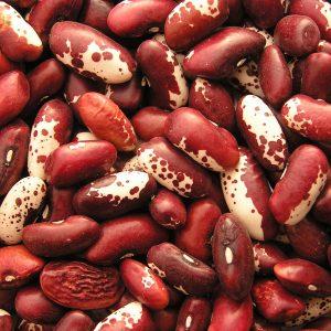 How beans affect the body: benefits and harms, secrets of preserving vitamins and rules of consumption