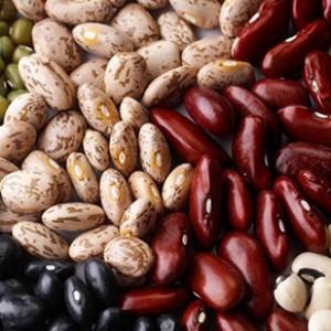 How beans affect the body: benefits and harms, secrets of preserving vitamins and rules of consumption