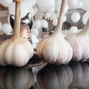 The simplest DIY preparations: storing garlic in glass jars - life hacks and important rules