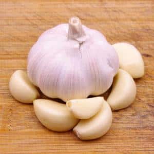 How to recognize spring and winter garlic: differences between varieties by external characteristics, taste and other characteristics