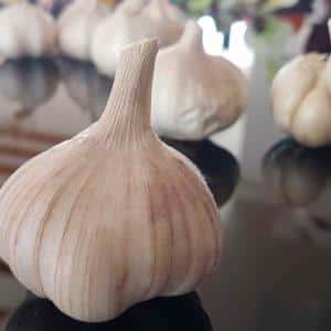 How to recognize spring and winter garlic: differences between varieties by external characteristics, taste and other characteristics