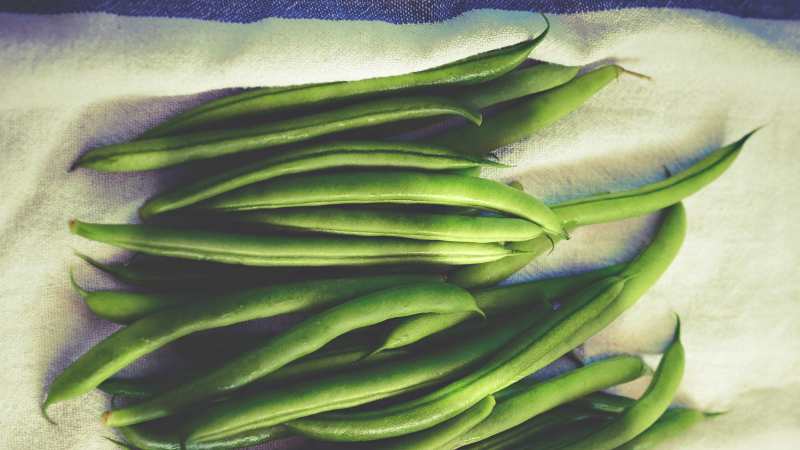 Which green beans to grow: varieties that will not leave anyone indifferent