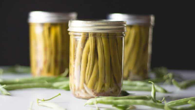 Which green beans to grow: varieties that will not leave anyone indifferent