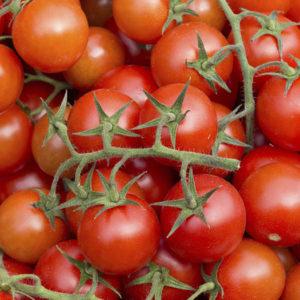 Red Riding Hood tomatoes, popular among summer residents: description of the variety and instructions for growing it yourself