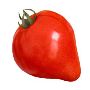 Many people argue about whether a tomato is a berry or a vegetable: let’s figure it out together and consider different points of view