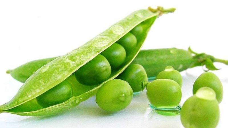 Features of growing peas