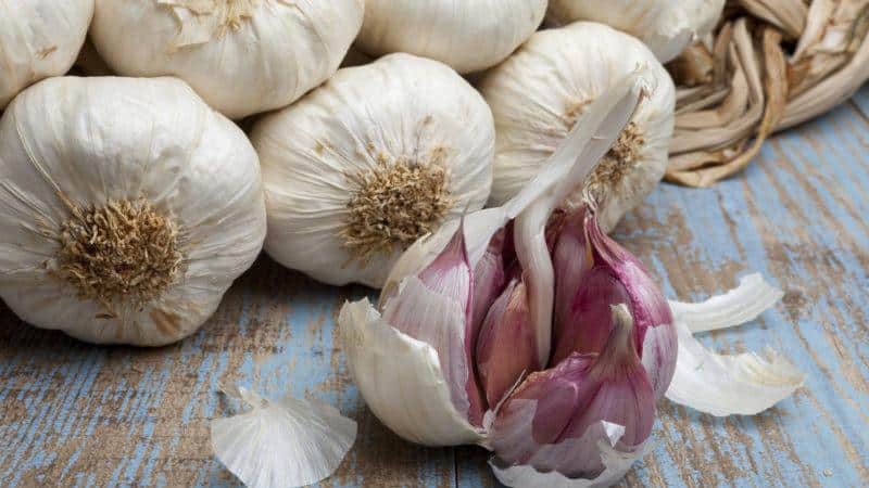 A selection of the best methods for preserving garlic at home throughout the winter