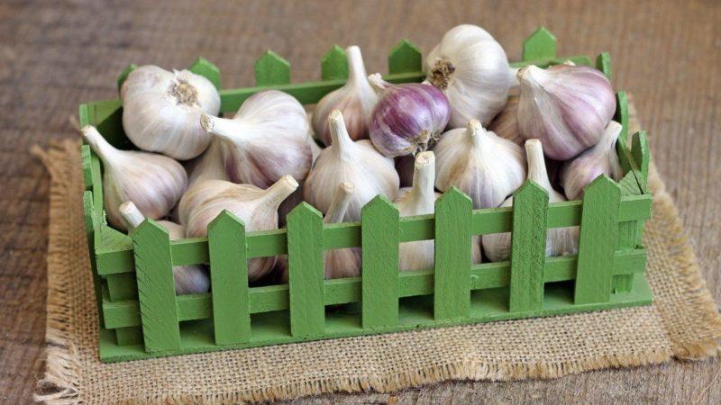 A selection of the best methods for preserving garlic at home throughout the winter