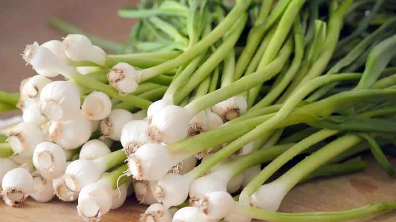 Let's look together at a common question: Is garlic a vegetable or not?