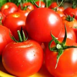 Top 16 delicious tomato preparations: tomatoes in gelatin for the winter - recipes and cooking instructions