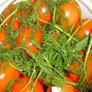 Top 16 delicious tomato preparations: tomatoes in gelatin for the winter - recipes and cooking instructions