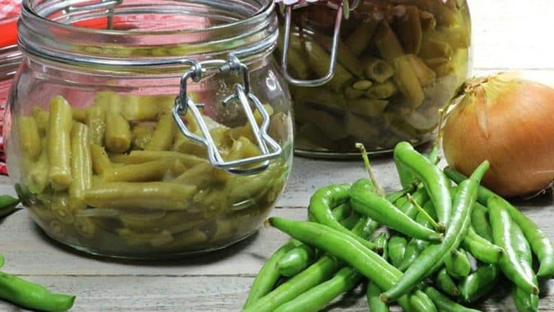 Top 20 most delicious recipes for canned green beans: preparation secrets from experienced housewives