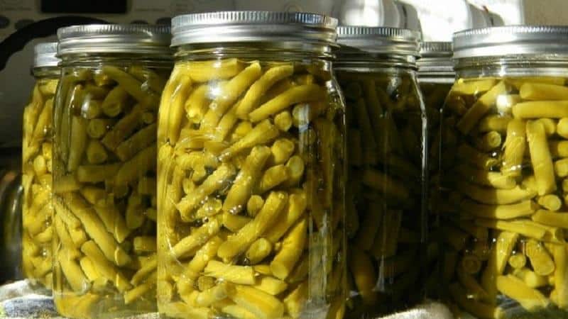 Top 20 most delicious recipes for canned green beans: preparation secrets from experienced housewives