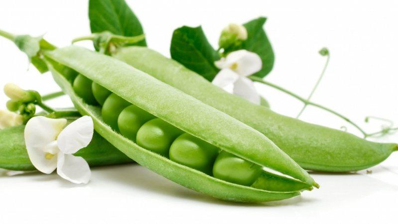 Top 8 most delicious recipes for pickling peas at home: ingredients, step-by-step instructions and tips