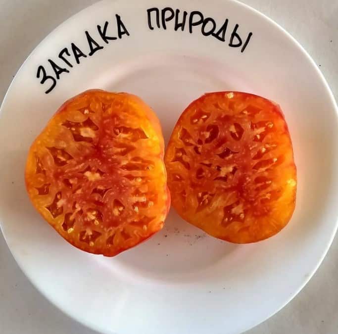 Top 25 sweetest varieties of tomatoes and tips on choosing them for every gardener