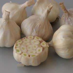 Secrets of effectively growing garlic at home and on an industrial scale as a business