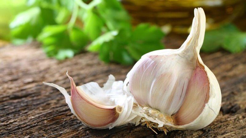 How, when and what to feed garlic after winter - advice from experienced gardeners to get a rich harvest