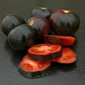 Indigo rose tomato growing technology for beginners and experienced farmers