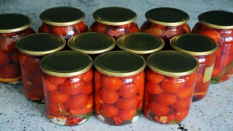 Top 15 most delicious canned tomato recipes: how to pickle tomatoes in jars for the winter
