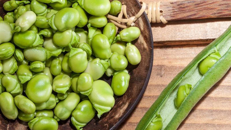 Top 26 best varieties of beans with photos and descriptions: what varieties they come in and how to choose the right one