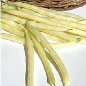 Top 26 best varieties of beans with photos and descriptions: what varieties they come in and how to choose the right one