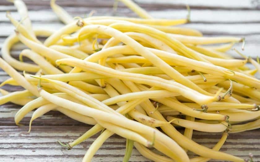 Top 26 best varieties of beans with photos and descriptions: what varieties they come in and how to choose the right one