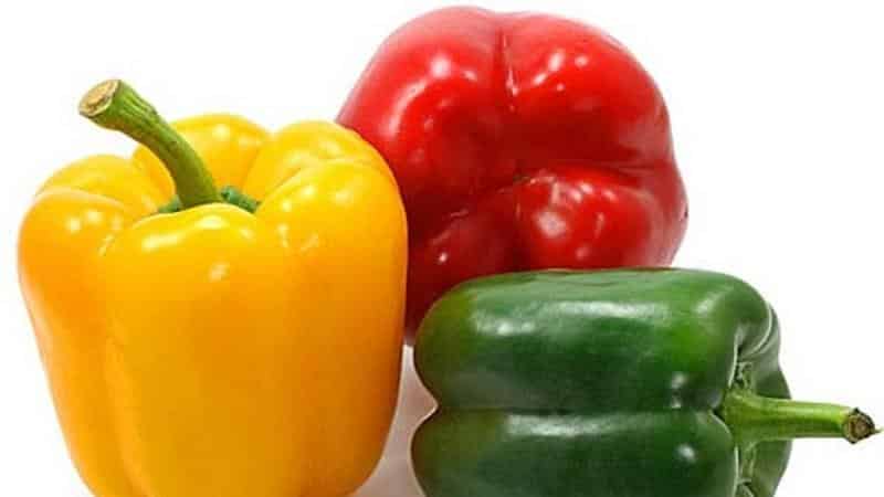 Crop rotation rules that should not be ignored: what to plant after pepper next year