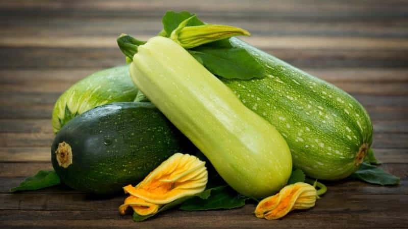 What is the difference between zucchini and squash: the difference in appearance, taste and other parameters