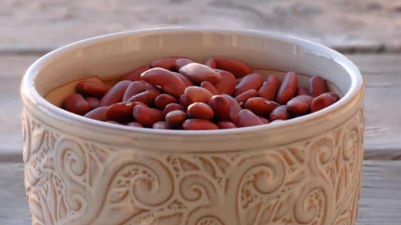 How and when to plant red beans for a better harvest
