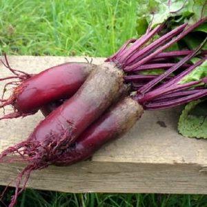 How to properly grow and when to collect beet seeds: step-by-step guide and important tips