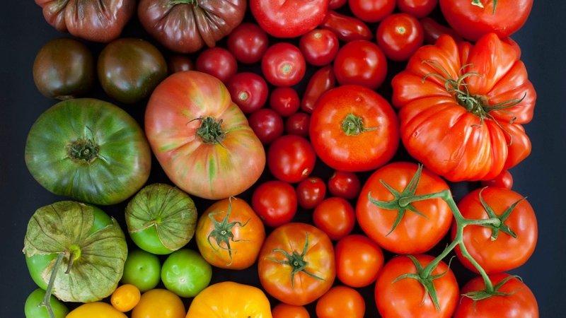 How to cook sun-dried tomatoes at home: different methods and the most delicious recipes