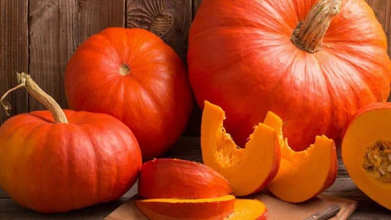 How to make pumpkin juice without a juicer - the most delicious recipes for its preparation