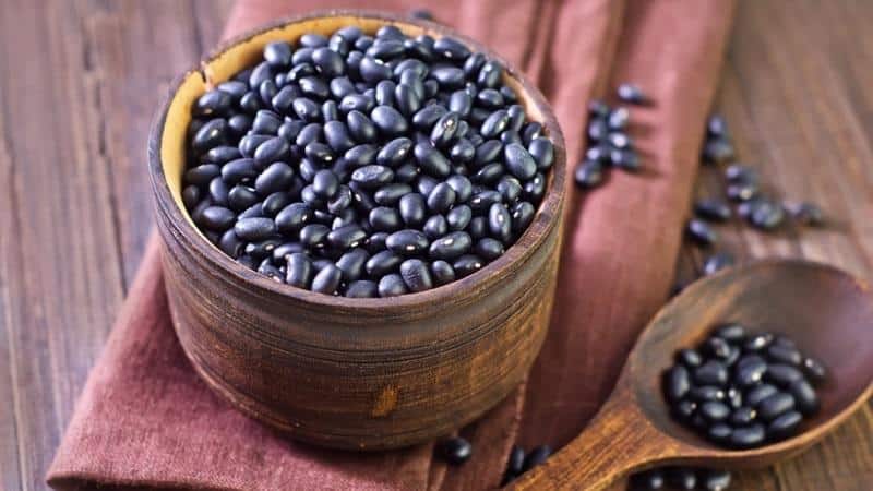 How to use black beans in cooking, cosmetology and folk medicine: benefits and harm to the body