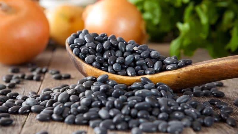 How to use black beans in cooking, cosmetology and folk medicine: benefits and harm to the body
