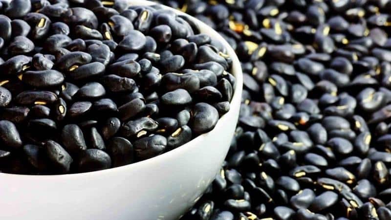 How to use black beans in cooking, cosmetology and folk medicine: benefits and harm to the body
