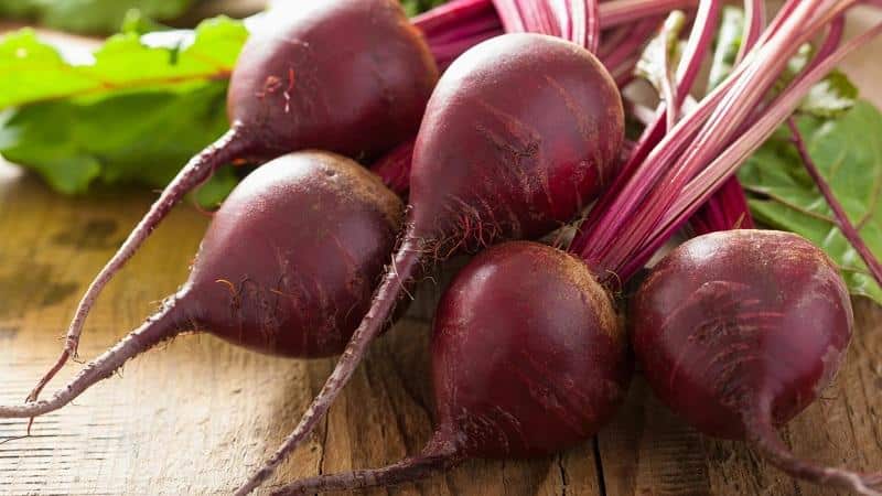 Rules for obtaining a rich beet harvest: cultivation in open ground and care