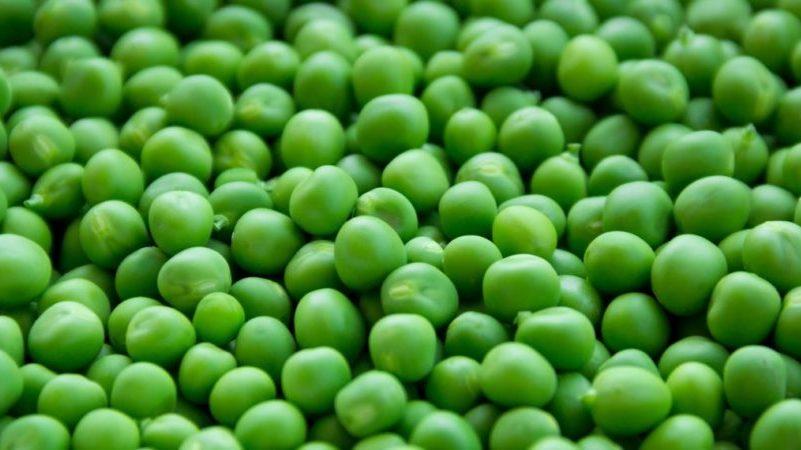What crops are best to plant peas next to?