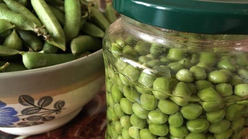 We preserve the taste and beneficial properties all year round: pea pods - recipes for the winter from experienced housewives