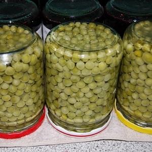 We preserve the taste and beneficial properties all year round: pea pods - recipes for the winter from experienced housewives