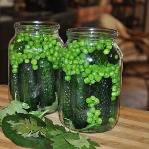 We preserve the taste and beneficial properties all year round: pea pods - recipes for the winter from experienced housewives