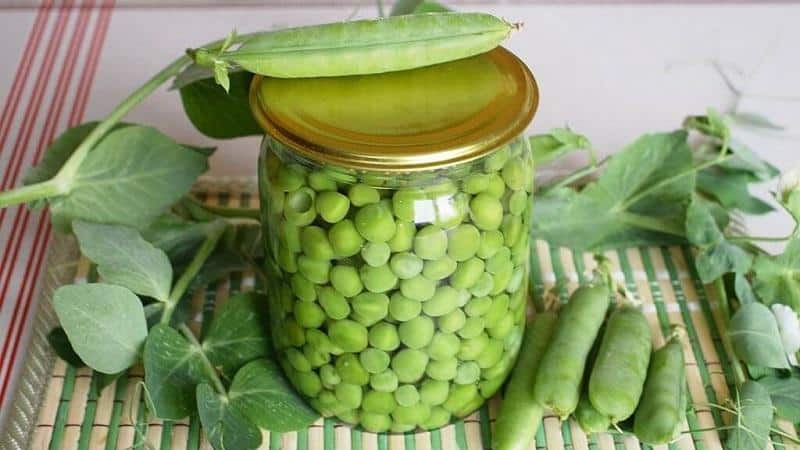 We preserve the taste and beneficial properties all year round: pea pods - recipes for the winter from experienced housewives