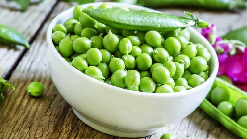 Harvest all year round without leaving home: how to grow peas at home on a windowsill and what you need for this