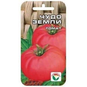A delicious tomato with huge fruits - the Miracle of the Earth tomato