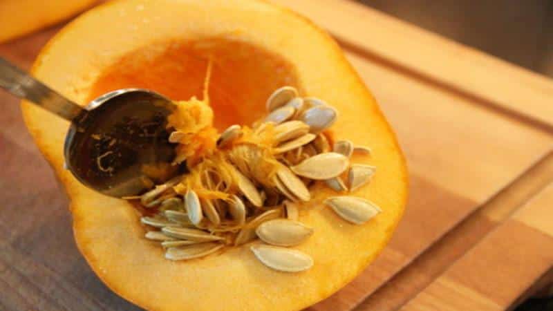 How to dry pumpkin seeds at home: choose the best method and follow the instructions